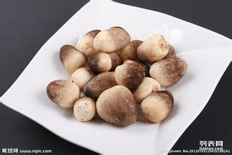 深圳生活物資配送與飼料銷售服務指南